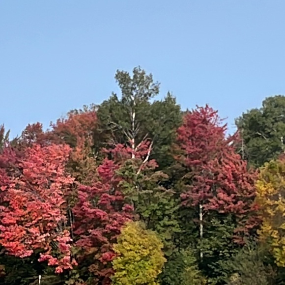 Meet your Posher, Marilyn - Picture 1 of 1